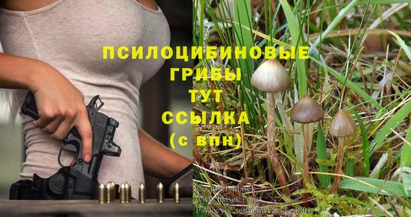 a pvp Алексин