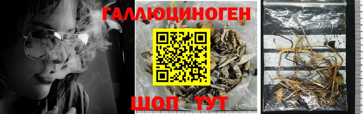 Галлюциногенные грибы Cubensis  где можно купить   Вход с VPN  Апрелевка  Галлюциногенные грибы мухоморы 